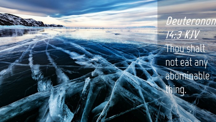 Picture 04 - Deuteronomy 14:3 KJV Desktop Wallpaper - Thou shalt not eat any abominable - Desktop Bible Verse Wallpaper