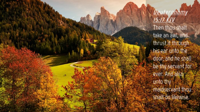 Picture 04 - Deuteronomy 15:17 KJV Desktop Wallpaper - Then thou shalt take an awl, and thrust it - Desktop Bible Verse Wallpaper