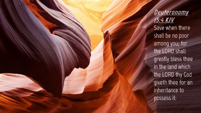 Picture 04 - Deuteronomy 15:4 KJV Desktop Wallpaper - Save when there shall be no poor among you; for - Desktop Bible Verse Wallpaper