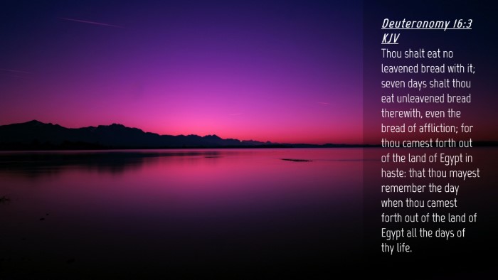 Picture 04 - Deuteronomy 16:3 KJV Desktop Wallpaper - Thou shalt eat no leavened bread with it; seven - Desktop Bible Verse Wallpaper