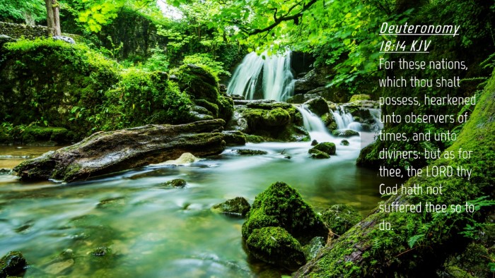Picture 04 - Deuteronomy 18:14 KJV Desktop Wallpaper - For these nations, which thou shalt possess, - Desktop Bible Verse Wallpaper