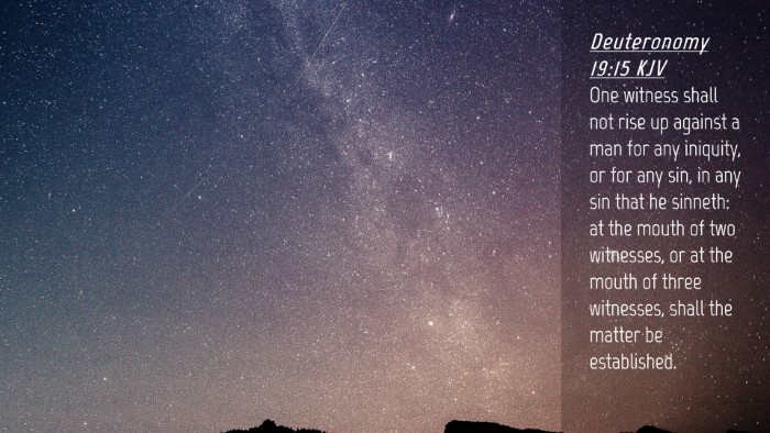 Picture 04 - Deuteronomy 19:15 KJV Desktop Wallpaper - One witness shall not rise up against a man for - Desktop Bible Verse Wallpaper