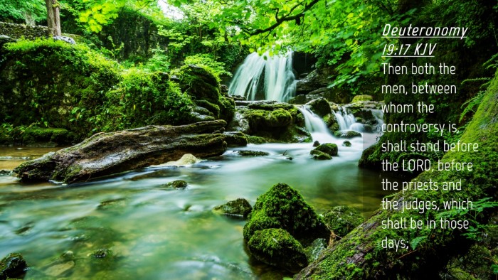Picture 04 - Deuteronomy 19:17 KJV Desktop Wallpaper - Then both the men, between whom the controversy - Desktop Bible Verse Wallpaper