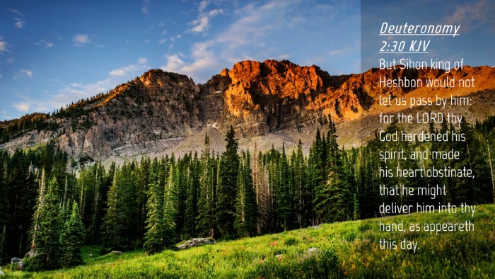 Picture 04 - Deuteronomy 2:30 KJV Desktop Wallpaper - But Sihon king of Heshbon would not let us pass - Desktop Bible Verse Wallpaper
