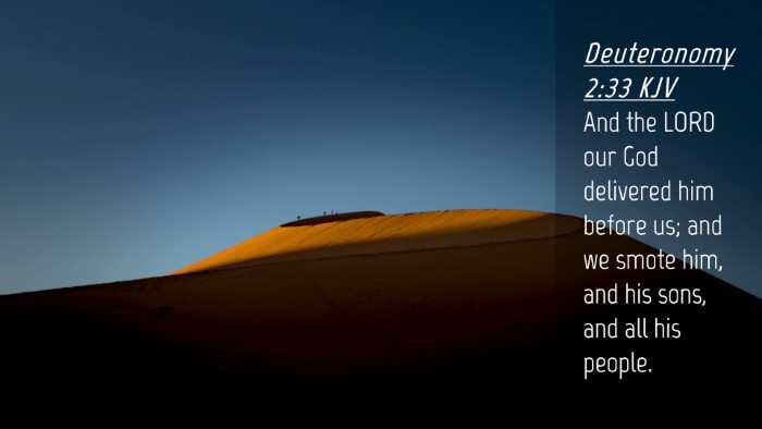 Picture 04 - Deuteronomy 2:33 KJV Desktop Wallpaper - And the LORD our God delivered him before us; and - Desktop Bible Verse Wallpaper