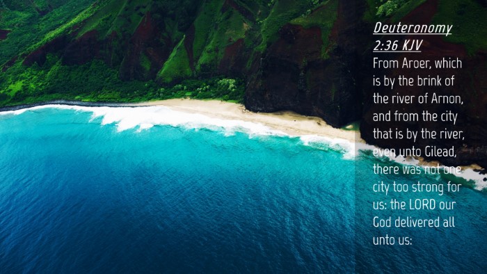 Picture 04 - Deuteronomy 2:36 KJV Desktop Wallpaper - From Aroer, which is by the brink of the river of - Desktop Bible Verse Wallpaper