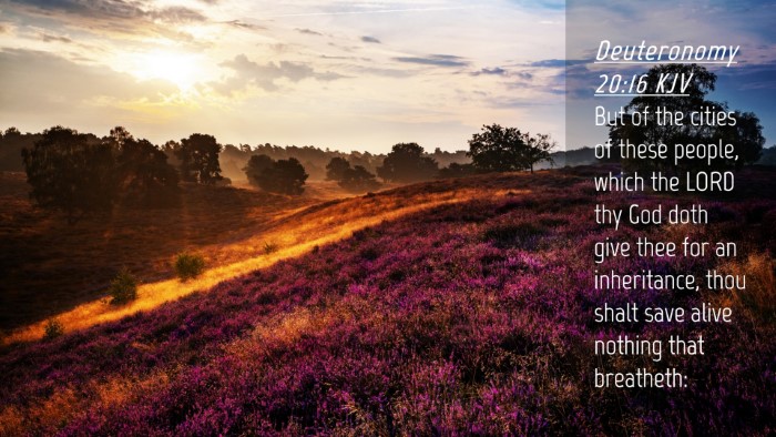 Picture 04 - Deuteronomy 20:16 KJV Desktop Wallpaper - But of the cities of these people, which the LORD - Desktop Bible Verse Wallpaper