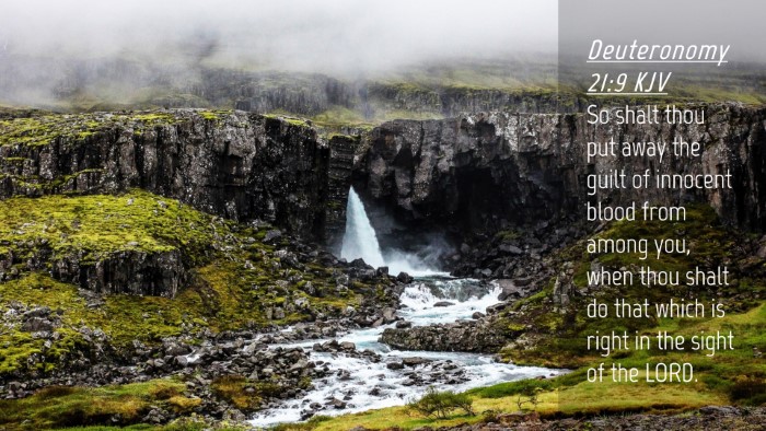 Picture 04 - Deuteronomy 21:9 KJV Desktop Wallpaper - So shalt thou put away the guilt of innocent - Desktop Bible Verse Wallpaper
