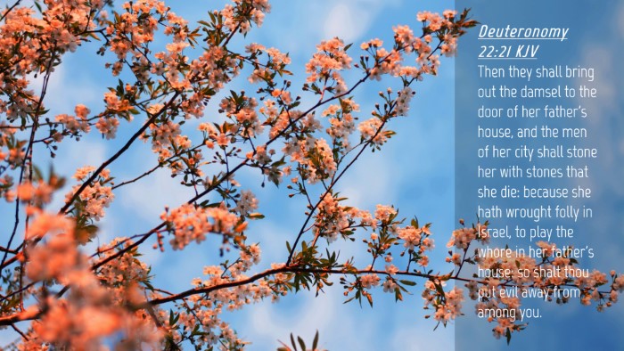 Picture 04 - Deuteronomy 22:21 KJV Desktop Wallpaper - Then they shall bring out the damsel to the door - Desktop Bible Verse Wallpaper