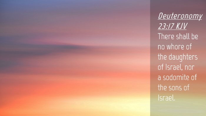 Picture 04 - Deuteronomy 23:17 KJV Desktop Wallpaper - There shall be no whore of the daughters of - Desktop Bible Verse Wallpaper