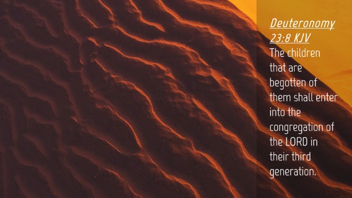 Picture 04 - Deuteronomy 23:8 KJV Desktop Wallpaper - The children that are begotten of them shall - Desktop Bible Verse Wallpaper