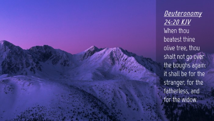 Picture 04 - Deuteronomy 24:20 KJV Desktop Wallpaper - When thou beatest thine olive tree, thou shalt - Desktop Bible Verse Wallpaper