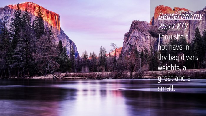 Picture 04 - Deuteronomy 25:13 KJV Desktop Wallpaper - Thou shalt not have in thy bag divers weights, a - Desktop Bible Verse Wallpaper