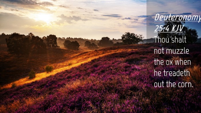 Picture 04 - Deuteronomy 25:4 KJV Desktop Wallpaper - Thou shalt not muzzle the ox when he treadeth out - Desktop Bible Verse Wallpaper