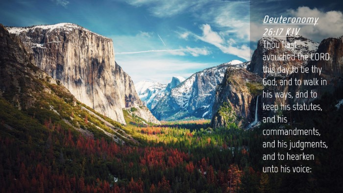 Picture 04 - Deuteronomy 26:17 KJV Desktop Wallpaper - Thou hast avouched the LORD this day to be thy - Desktop Bible Verse Wallpaper