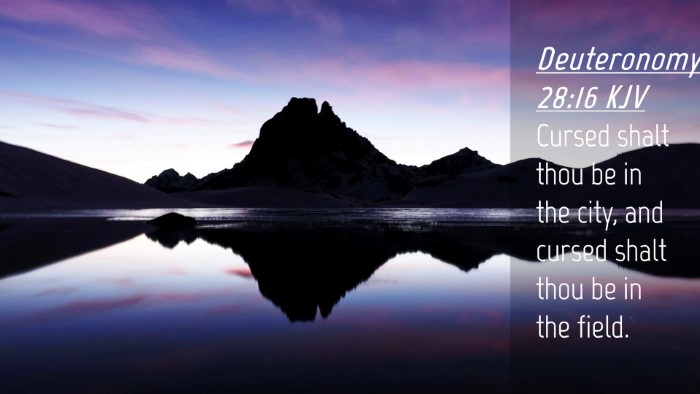 Picture 04 - Deuteronomy 28:16 KJV Desktop Wallpaper - Cursed shalt thou be in the city, and cursed - Desktop Bible Verse Wallpaper