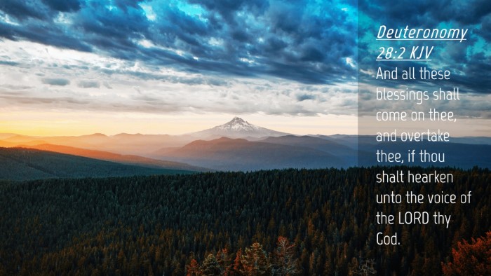 Picture 04 - Deuteronomy 28:2 KJV Desktop Wallpaper - And all these blessings shall come on thee, and - Desktop Bible Verse Wallpaper