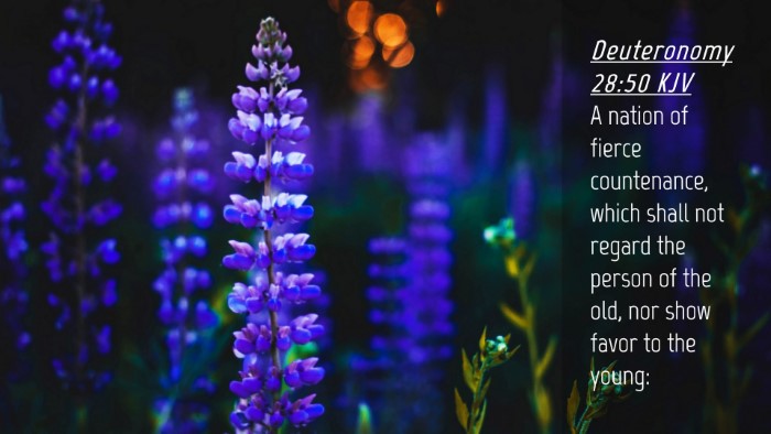 Picture 04 - Deuteronomy 28:50 KJV Desktop Wallpaper - A nation of fierce countenance, which shall not - Desktop Bible Verse Wallpaper