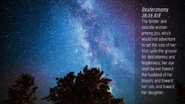 Picture 04 - Deuteronomy 28:56 KJV Desktop Wallpaper - The tender and delicate woman among you, which - Desktop Bible Verse Wallpaper