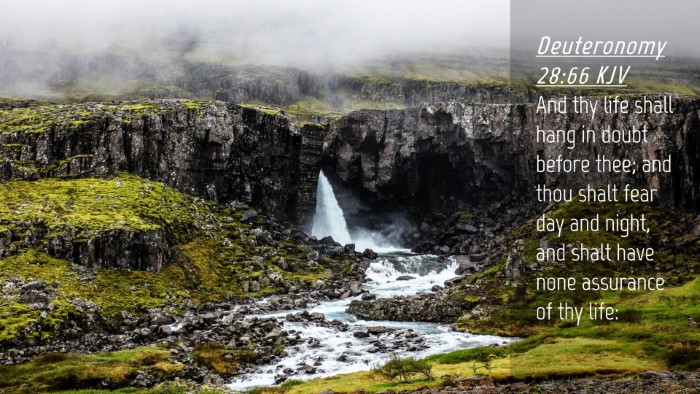 Picture 04 - Deuteronomy 28:66 KJV Desktop Wallpaper - And thy life shall hang in doubt before thee; and - Desktop Bible Verse Wallpaper