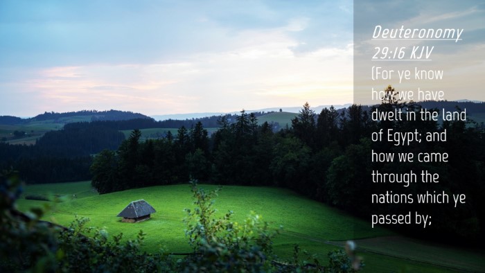 Picture 04 - Deuteronomy 29:16 KJV Desktop Wallpaper - (For ye know how we have dwelt in the land of - Desktop Bible Verse Wallpaper