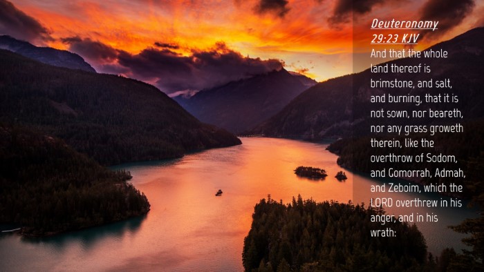 Picture 04 - Deuteronomy 29:23 KJV Desktop Wallpaper - And that the whole land thereof is brimstone, and - Desktop Bible Verse Wallpaper