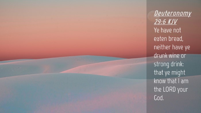Picture 04 - Deuteronomy 29:6 KJV Desktop Wallpaper - Ye have not eaten bread, neither have ye drunk - Desktop Bible Verse Wallpaper