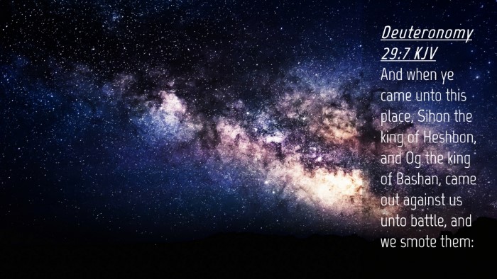 Picture 04 - Deuteronomy 29:7 KJV Desktop Wallpaper - And when ye came unto this place, Sihon the king - Desktop Bible Verse Wallpaper