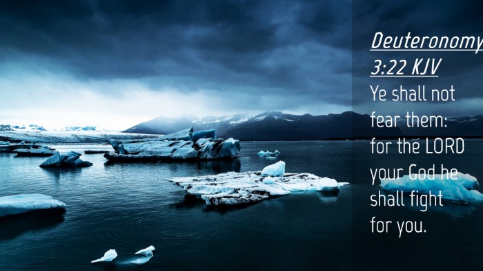 Picture 04 - Deuteronomy 3:22 KJV Desktop Wallpaper - Ye shall not fear them: for the LORD your God he - Desktop Bible Verse Wallpaper