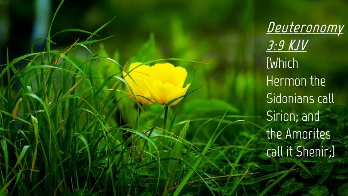 Picture 04 - Deuteronomy 3:9 KJV Desktop Wallpaper - (Which Hermon the Sidonians call Sirion; and the - Desktop Bible Verse Wallpaper