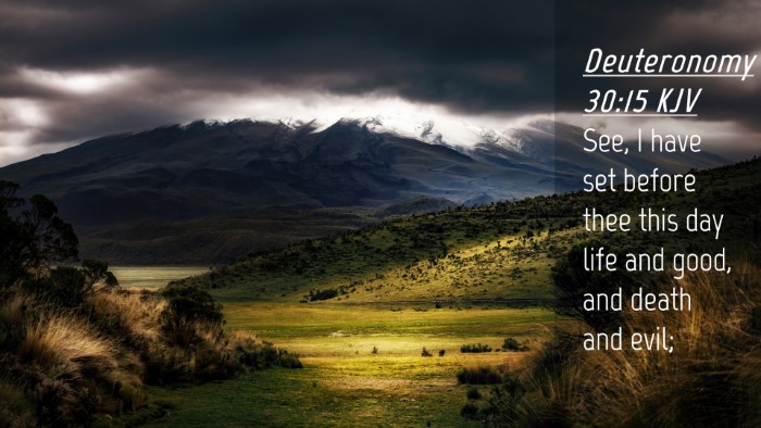 Picture 04 - Deuteronomy 30:15 KJV Desktop Wallpaper - See, I have set before thee this day life and - Desktop Bible Verse Wallpaper