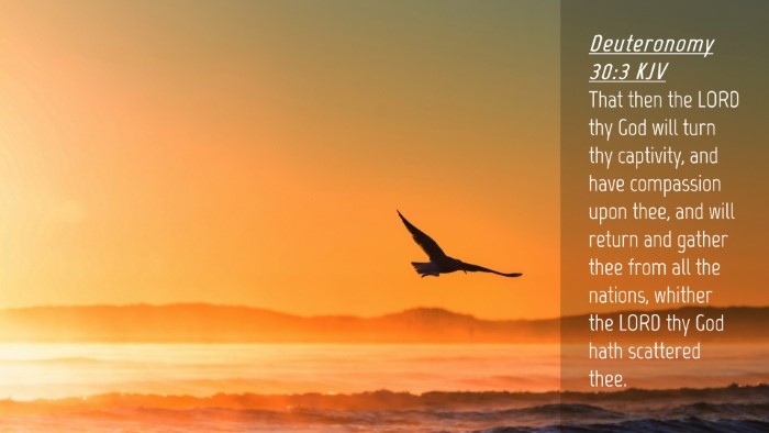 Picture 04 - Deuteronomy 30:3 KJV Desktop Wallpaper - That then the LORD thy God will turn thy - Desktop Bible Verse Wallpaper