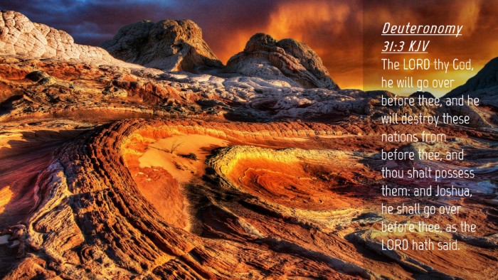 Picture 04 - Deuteronomy 31:3 KJV Desktop Wallpaper - The LORD thy God, he will go over before thee, - Desktop Bible Verse Wallpaper
