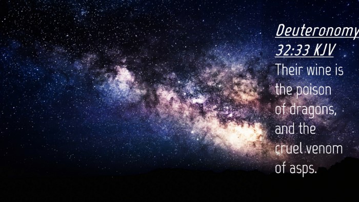 Picture 04 - Deuteronomy 32:33 KJV Desktop Wallpaper - Their wine is the poison of dragons, and the - Desktop Bible Verse Wallpaper