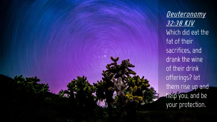 Picture 04 - Deuteronomy 32:38 KJV Desktop Wallpaper - Which did eat the fat of their sacrifices, and - Desktop Bible Verse Wallpaper