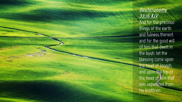 Picture 04 - Deuteronomy 33:16 KJV Desktop Wallpaper - And for the precious things of the earth and - Desktop Bible Verse Wallpaper