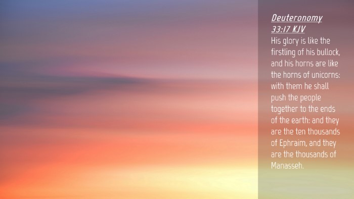 Picture 04 - Deuteronomy 33:17 KJV Desktop Wallpaper - His glory is like the firstling of his bullock, - Desktop Bible Verse Wallpaper