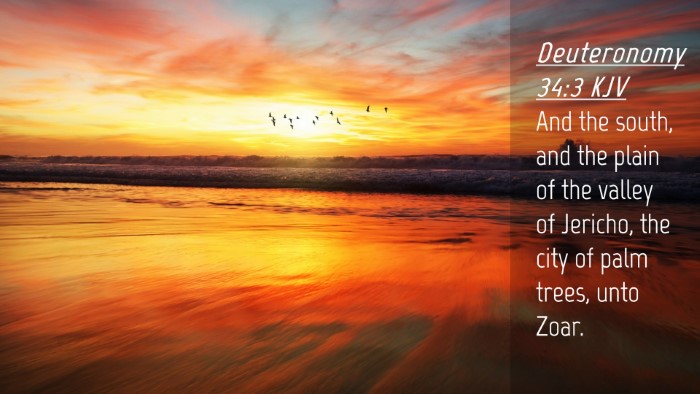 Picture 04 - Deuteronomy 34:3 KJV Desktop Wallpaper - And the south, and the plain of the valley of - Desktop Bible Verse Wallpaper