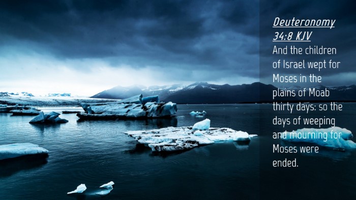 Picture 04 - Deuteronomy 34:8 KJV Desktop Wallpaper - And the children of Israel wept for Moses in the - Desktop Bible Verse Wallpaper