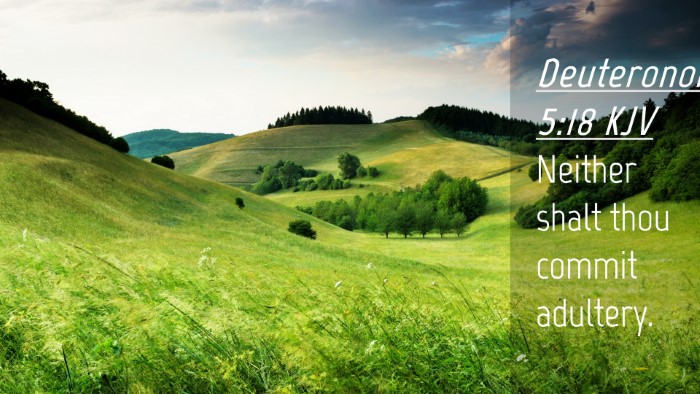 Picture 04 - Deuteronomy 5:18 KJV Desktop Wallpaper - Neither shalt thou commit - Desktop Bible Verse Wallpaper
