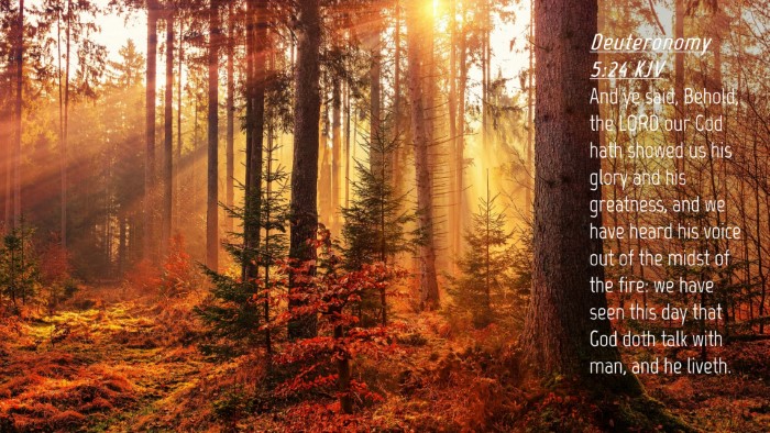 Picture 04 - Deuteronomy 5:24 KJV Desktop Wallpaper - And ye said, Behold, the LORD our God hath showed - Desktop Bible Verse Wallpaper