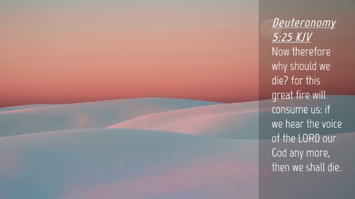 Picture 04 - Deuteronomy 5:25 KJV Desktop Wallpaper - Now therefore why should we die? for this great - Desktop Bible Verse Wallpaper