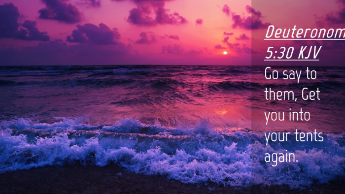 Picture 04 - Deuteronomy 5:30 KJV Desktop Wallpaper - Go say to them, Get you into your tents - Desktop Bible Verse Wallpaper
