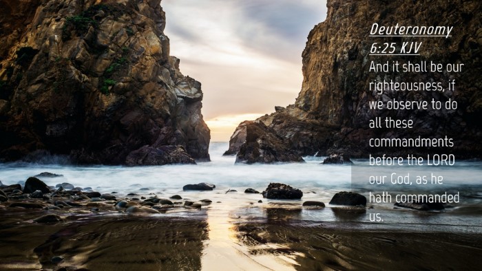Picture 04 - Deuteronomy 6:25 KJV Desktop Wallpaper - And it shall be our righteousness, if we observe - Desktop Bible Verse Wallpaper