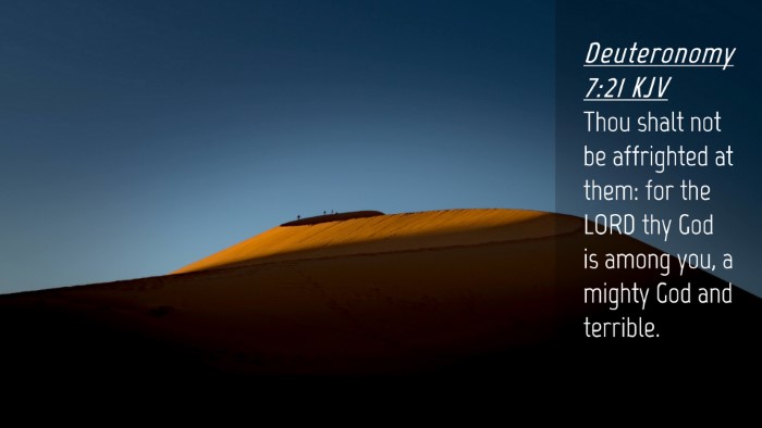 Picture 04 - Deuteronomy 7:21 KJV Desktop Wallpaper - Thou shalt not be affrighted at them: for the - Desktop Bible Verse Wallpaper
