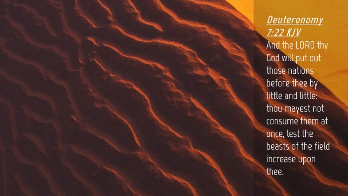 Picture 04 - Deuteronomy 7:22 KJV Desktop Wallpaper - And the LORD thy God will put out those nations - Desktop Bible Verse Wallpaper