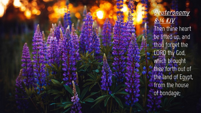 Picture 04 - Deuteronomy 8:14 KJV Desktop Wallpaper - Then thine heart be lifted up, and thou forget - Desktop Bible Verse Wallpaper