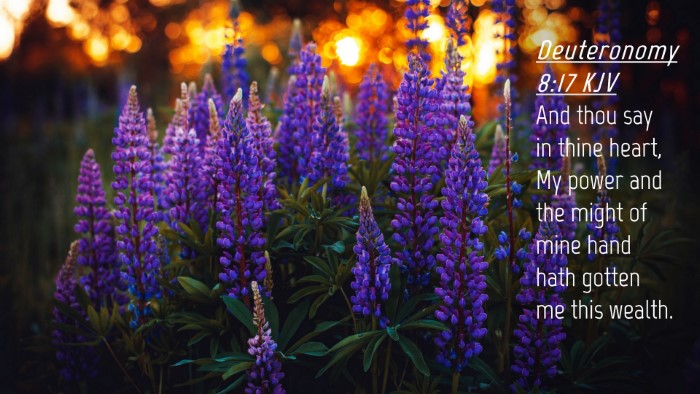 Picture 04 - Deuteronomy 8:17 KJV Desktop Wallpaper - And thou say in thine heart, My power and the - Desktop Bible Verse Wallpaper