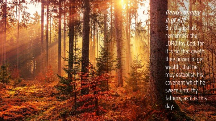 Picture 04 - Deuteronomy 8:18 KJV Desktop Wallpaper - But thou shalt remember the LORD thy God: for it - Desktop Bible Verse Wallpaper