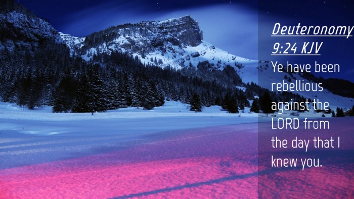 Picture 04 - Deuteronomy 9:24 KJV Desktop Wallpaper - Ye have been rebellious against the LORD from the - Desktop Bible Verse Wallpaper